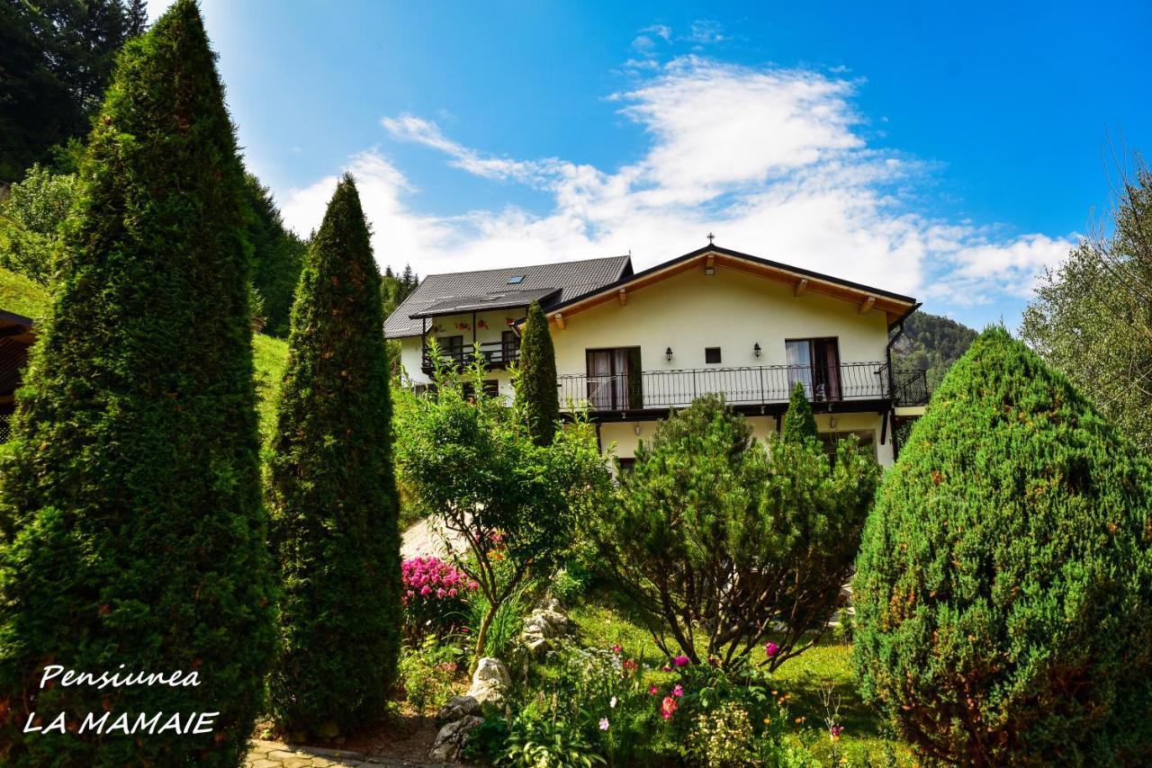 Pensiunea La Mamaie Cheia  Exterior foto