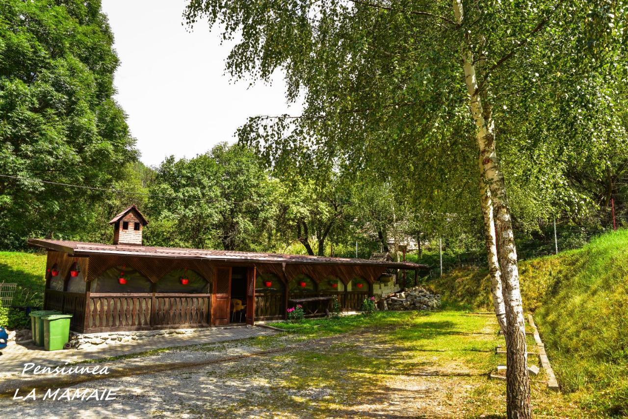Pensiunea La Mamaie Cheia  Exterior foto
